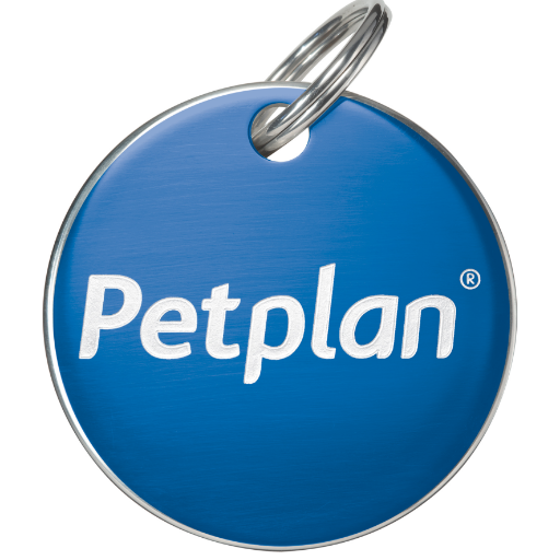 petplan pet travel insurance