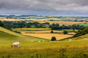 How to get fast rural broadband in the UK