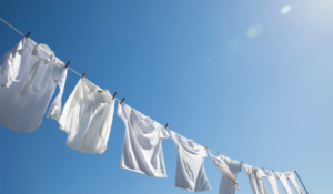 Households could get free electricity on sunny weekends